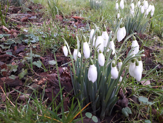 Hello February