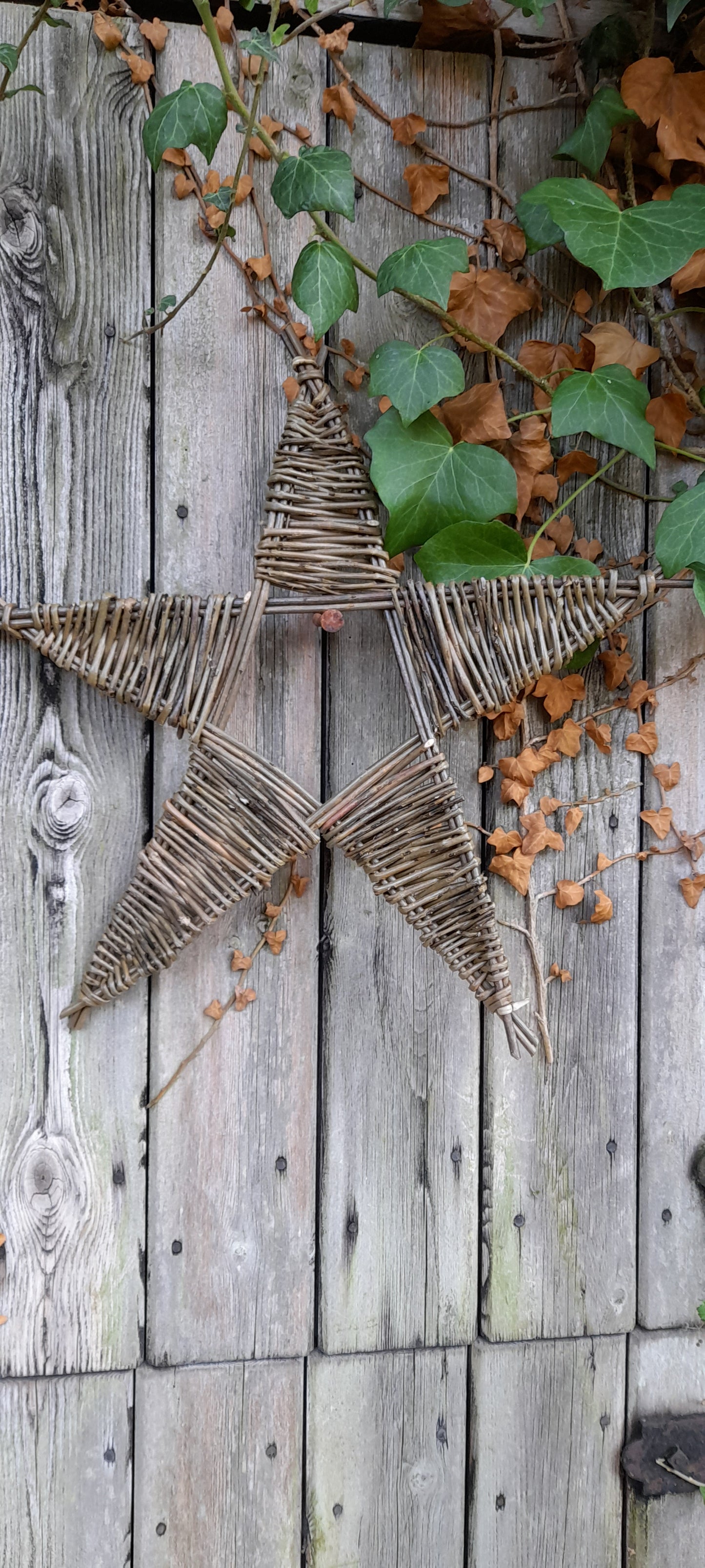 Willow Star Workshop 5th December 2025 Oaktrack Smallholding