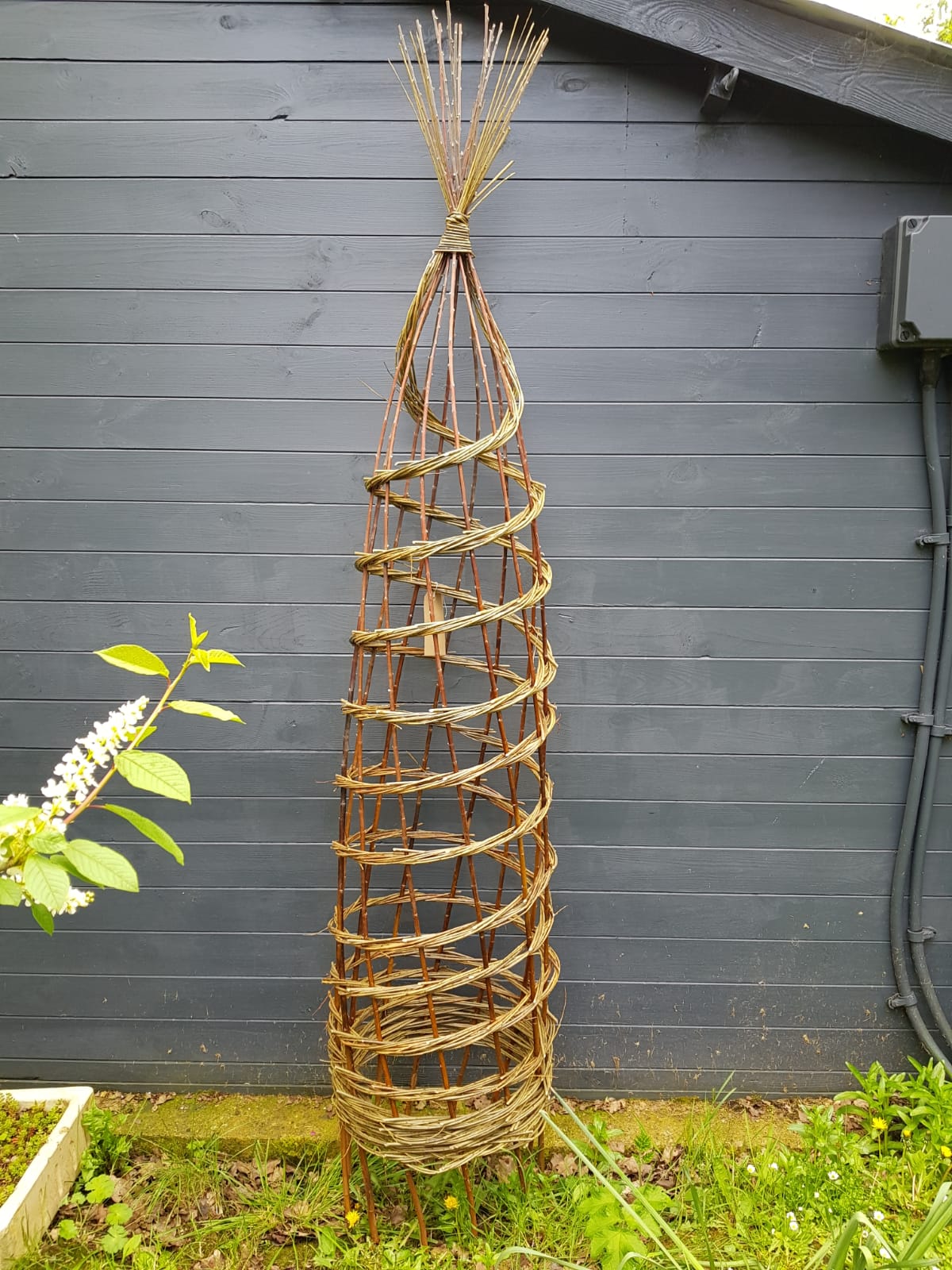 Willow Obelisk Workshop  13th September