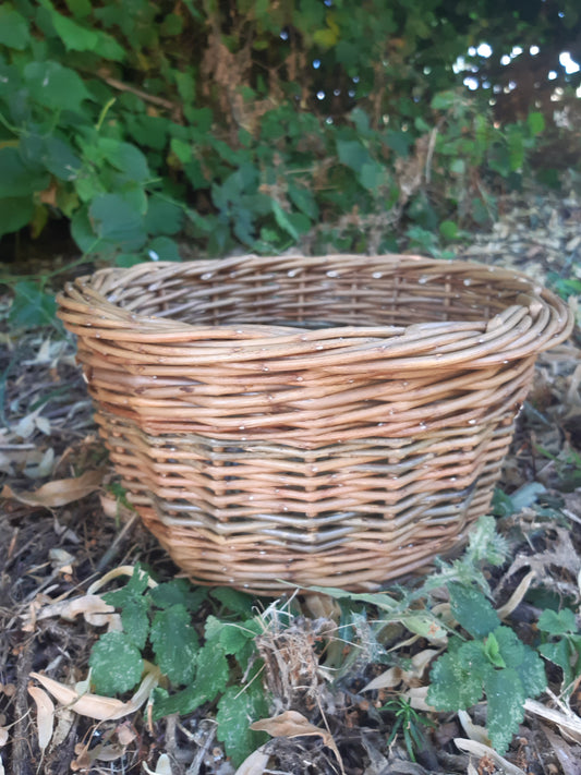 Bespoke 1:1 or small group willow basket workshop at The Old Dairy, Enham Alamein